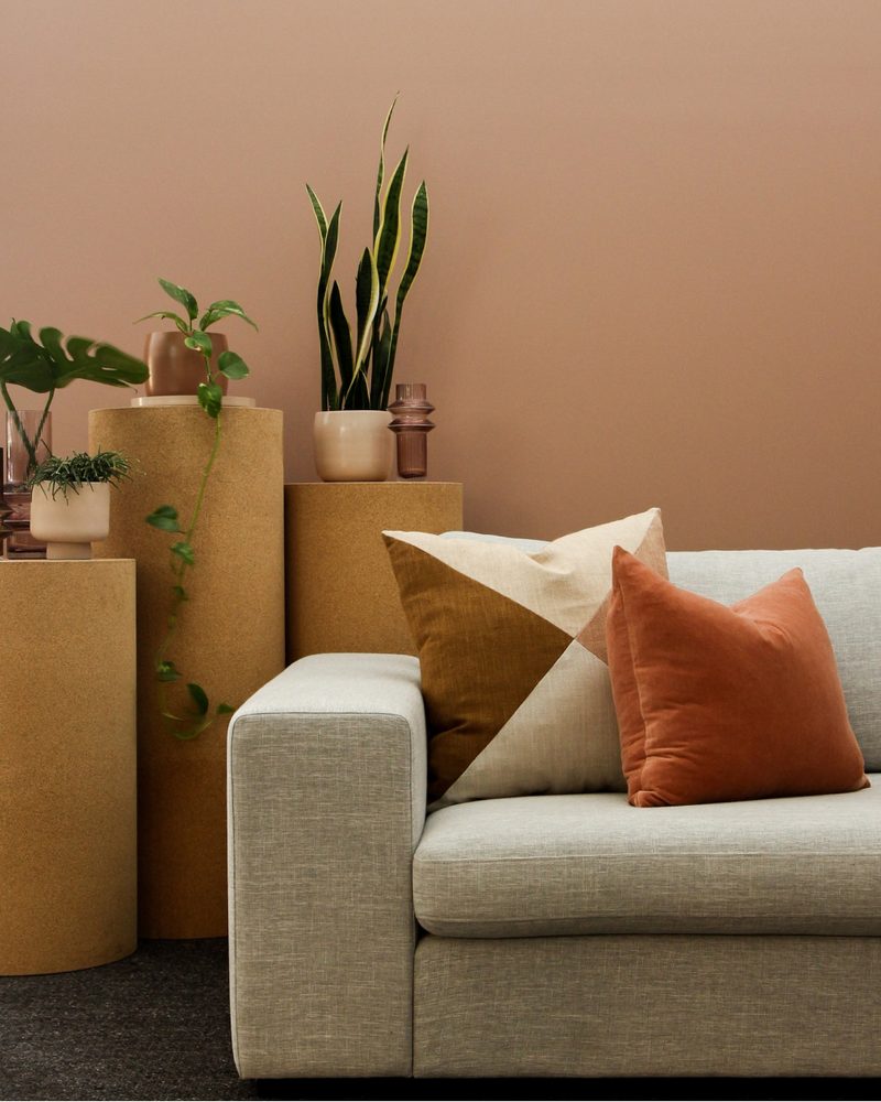 Neutral sofa with cushions and potted plants in a warm living room
